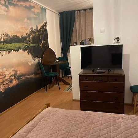 Cm Studio Apartment Sighisoara Bagian luar foto