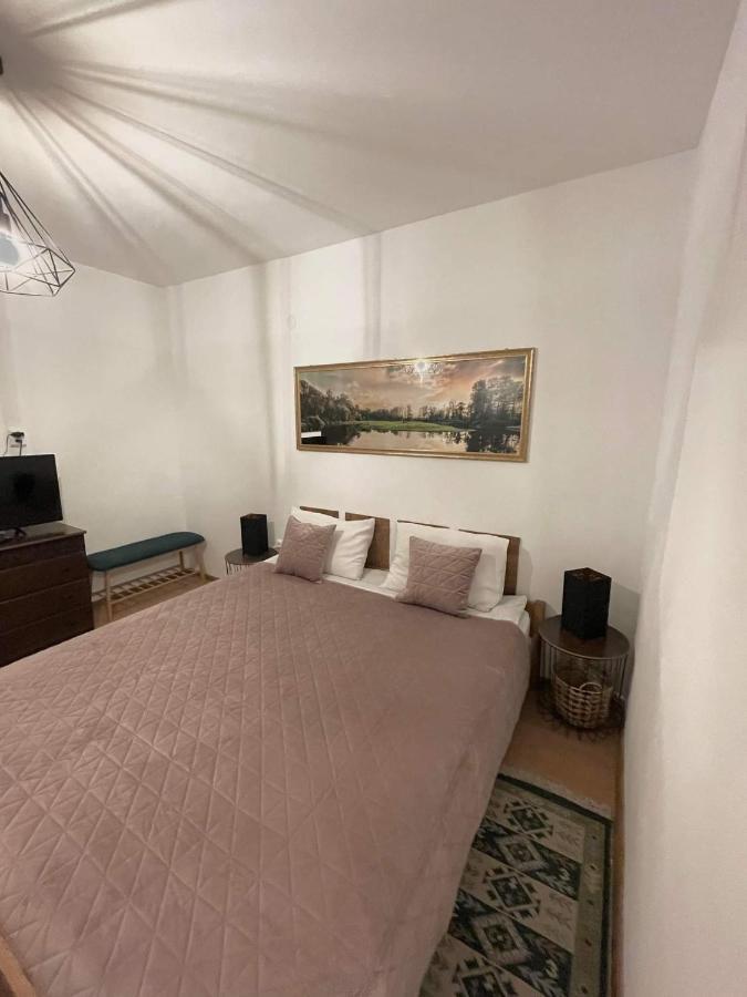 Cm Studio Apartment Sighisoara Bagian luar foto