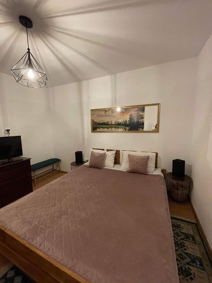 Cm Studio Apartment Sighisoara Bagian luar foto