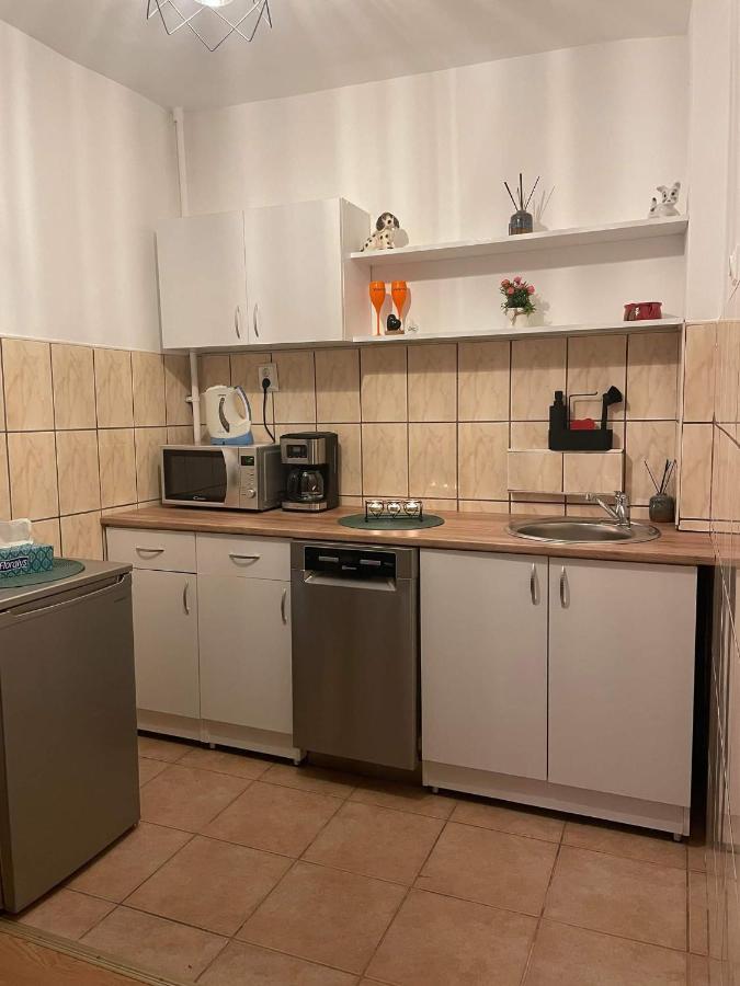 Cm Studio Apartment Sighisoara Bagian luar foto