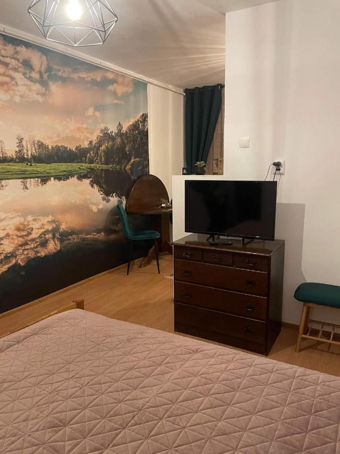 Cm Studio Apartment Sighisoara Bagian luar foto